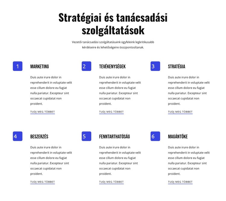 Stratégia és agilis szolgáltatások CSS sablon