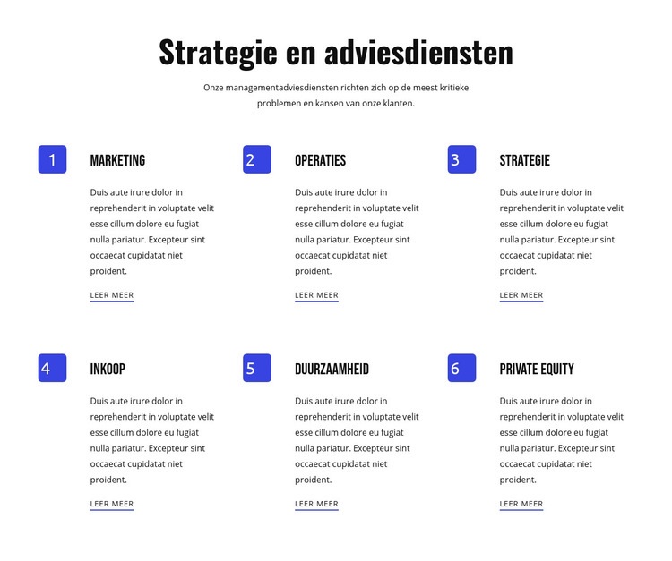 Strategie en flexibele diensten Website ontwerp