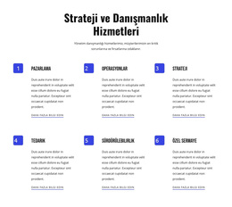 Strateji Ve Çevik Hizmetler Için Çok Amaçlı WordPress Teması