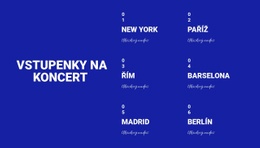Vstupní Stránka Pro Koncept Vstupenek