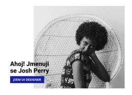 O Špičkovém Webdesignérovi – Stažení Šablony HTML