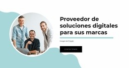 Brindamos Estrategia - Creador De Sitios Web Sencillo