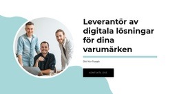 Malldemo För Vi Tillhandahåller Strategi