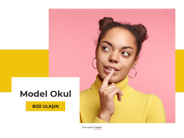 Model Okul WordPress Teması