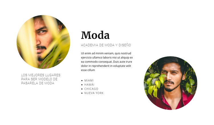 Agencia de moda Plantilla CSS