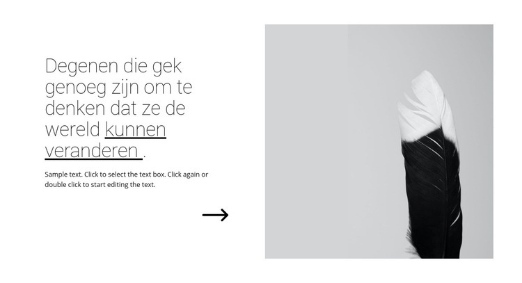 De quotes over design Sjabloon