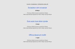 Tekrarlayıcıyı Zaman Çizelgesi Ile Listeleyin CSS Ile Temel Html Şablonu