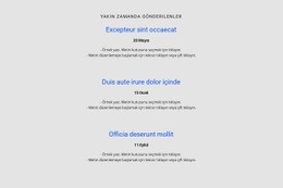 Tekrarlayıcıyı Zaman Çizelgesi Ile Listeleyin - Tek Sayfalık Web Sitesi Şablonu