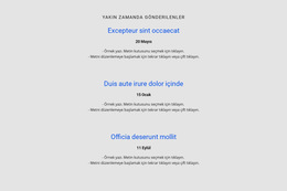 Tekrarlayıcıyı Zaman Çizelgesi Ile Listeleyin - Iş Premium Web Sitesi Şablonu