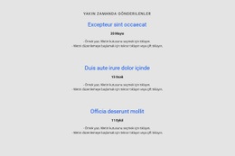 Tekrarlayıcıyı Zaman Çizelgesi Ile Listeleyin Için Harika Web Sitesi Tasarımı