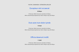 Tekrarlayıcıyı Zaman Çizelgesi Ile Listeleyin Için En Yaratıcı WordPress Teması