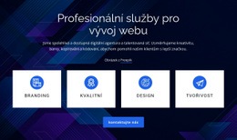 Služby Vývoje Webu