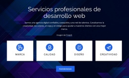 Servicios Profesionales De Desarrollo Web: Excelente Página De Destino