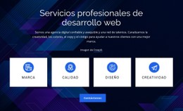 Diseño De Sitio Web Para Servicios Profesionales De Desarrollo Web