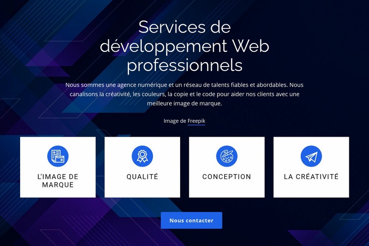 Services de développement Web professionnels Maquette de site Web