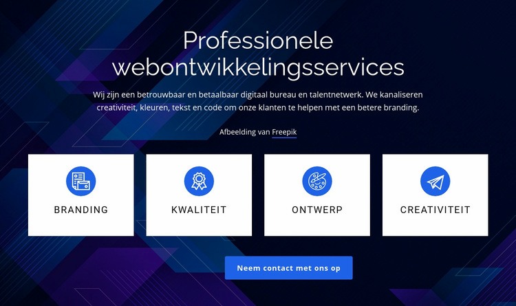 Professionele webontwikkelingsservices Website ontwerp