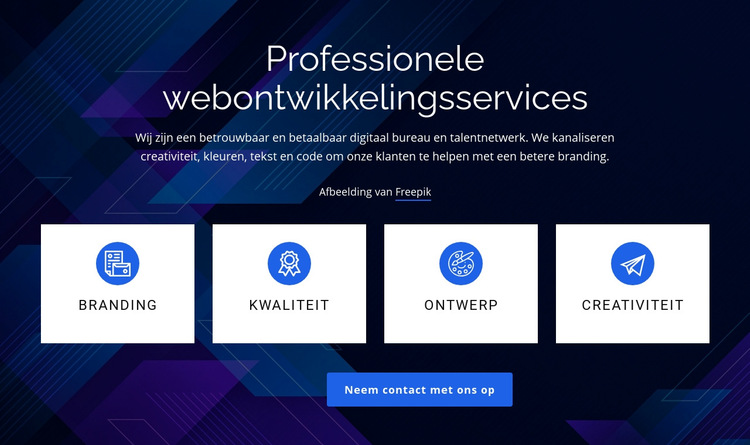 Professionele webontwikkelingsservices Website sjabloon