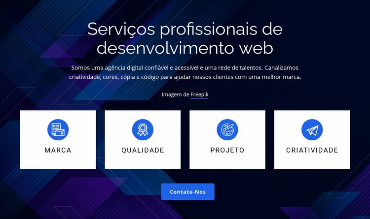 Serviços profissionais de desenvolvimento web Design do site