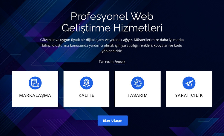 Profesyonel Web Geliştirme Hizmetleri HTML Şablonu