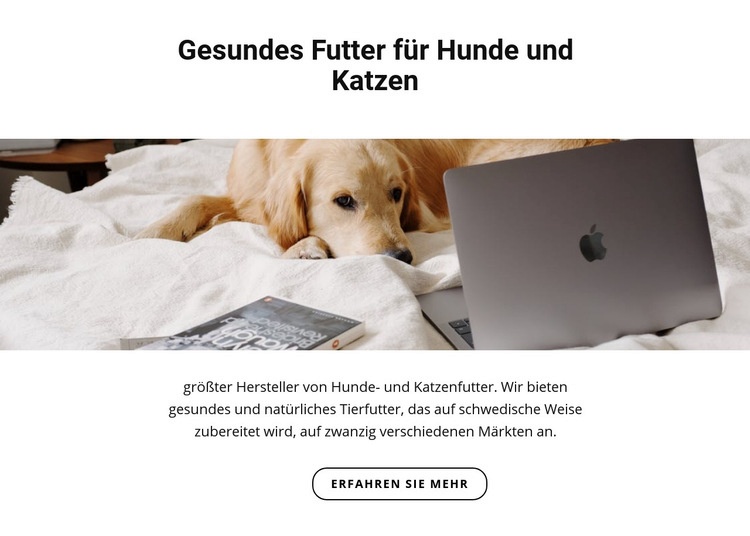 Gesundes Futter für Haustiere Eine Seitenvorlage