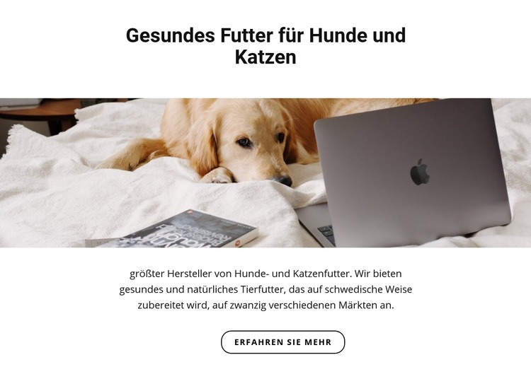 Gesundes Futter für Haustiere Website Builder-Vorlagen