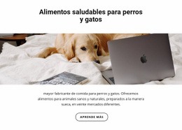 Alimentos Saludables Para Mascotas - HTML5 Website Builder