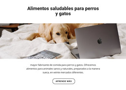 Alimentos Saludables Para Mascotas: Plantilla De Página HTML