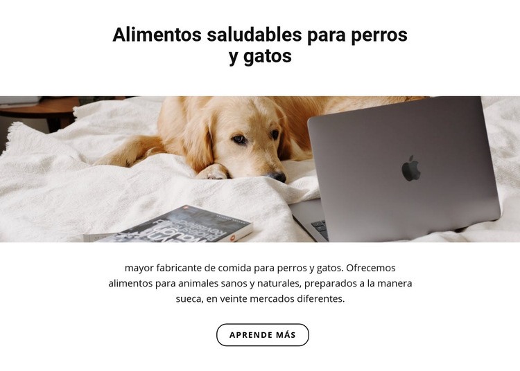 Alimentos saludables para mascotas Plantilla HTML5