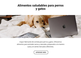 Alimentos Saludables Para Mascotas - Plantilla De Página Web