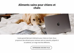 Une Alimentation Saine Pour Les Animaux - Conception De Sites Web Personnalisés