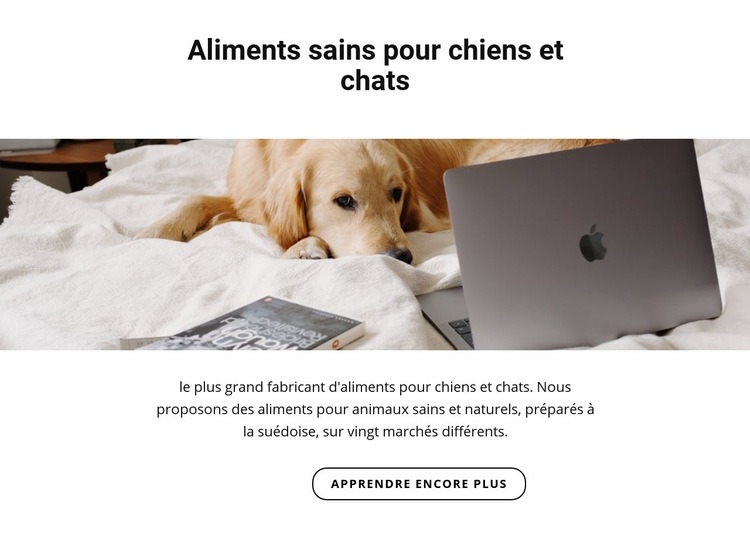 Une alimentation saine pour les animaux Modèles de constructeur de sites Web