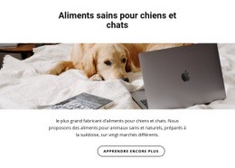 Une Alimentation Saine Pour Les Animaux – Modèles De Sites Web Réactifs