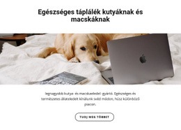 Egészséges Táplálék Háziállatoknak E-Kereskedelmi Webhely