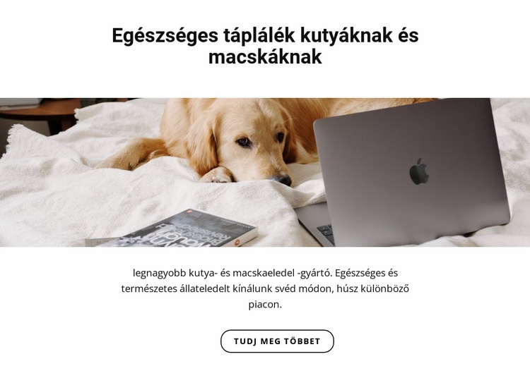 Egészséges táplálék háziállatoknak HTML Sablon