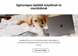Egészséges Táplálék Háziállatoknak #Website-Design-Hu-Seo-One-Item-Suffix