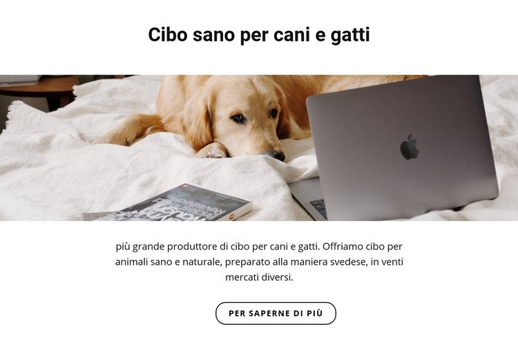 Cibo sano per animali domestici Costruttore di siti web HTML