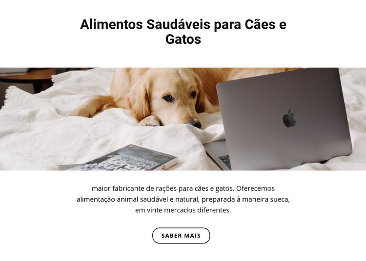 Comida saudável para animais de estimação Modelo