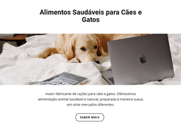 Comida Saudável Para Animais De Estimação - Modelo De Página Da Web