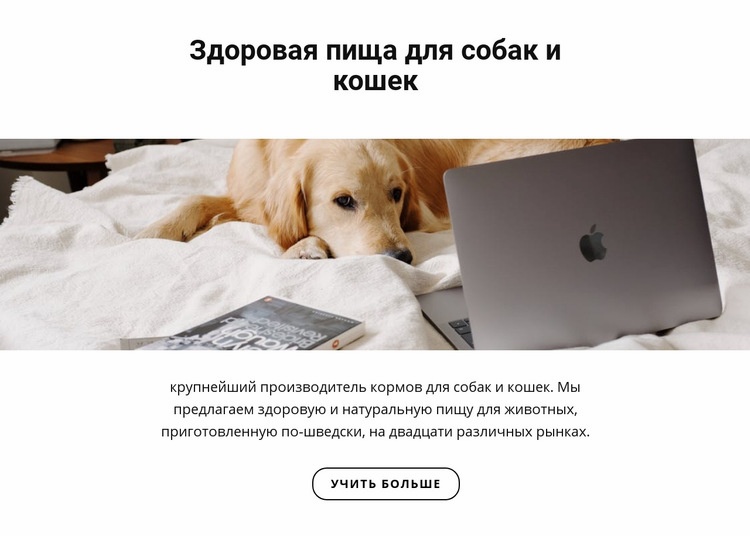 Здоровое питание для домашних животных Конструктор сайтов HTML