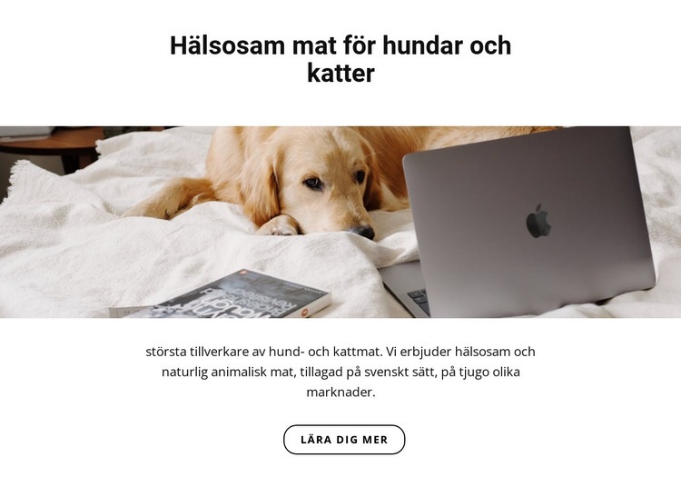 Hälsosam mat för husdjur Hemsidedesign