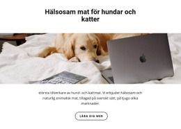 Hälsosam Mat För Husdjur