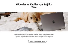 Evcil Hayvanlar Için Sağlıklı Yiyecekler E-Ticaret Web Sitesi