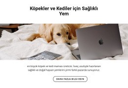 Evcil Hayvanlar Için Sağlıklı Yiyecekler - HTML5 Website Builder