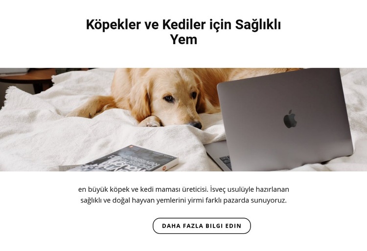 Evcil hayvanlar için sağlıklı yiyecekler HTML5 Şablonu