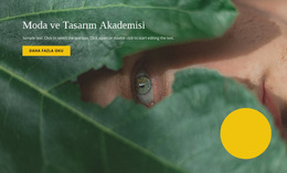 Modada Doğallık - Joomla Şablonunu Sürükleyip Bırakın