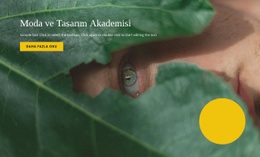 Modada Doğallık - Çok Amaçlı Web Tasarımı