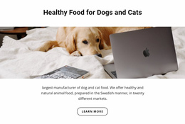 Healthy Food For Pets - HTML5 Website Builder