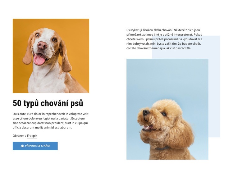 Kvalitní kurzy chování psa Šablona webové stránky