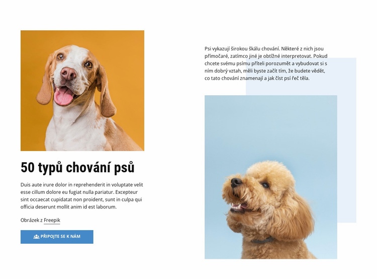 Kvalitní kurzy chování psa Téma WordPress