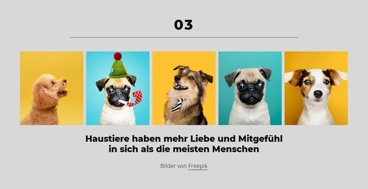 Geld kann dir einen guten Hund kaufen HTML Website Builder